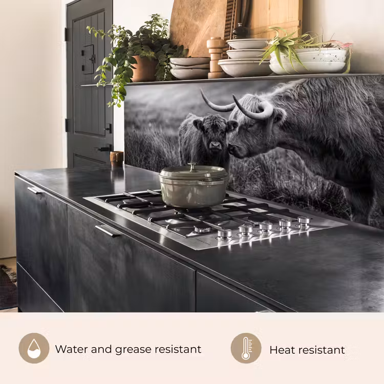 Kitchen splashback - Scottish highlander - Calf - Black - White — 5