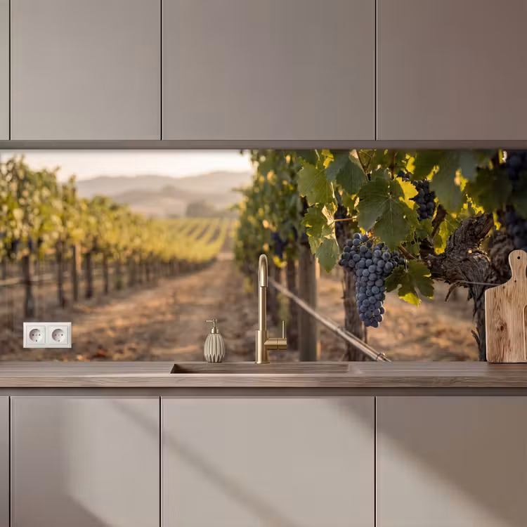 Kitchen splashback - Grapes - Vineyard - Sunlight — 1