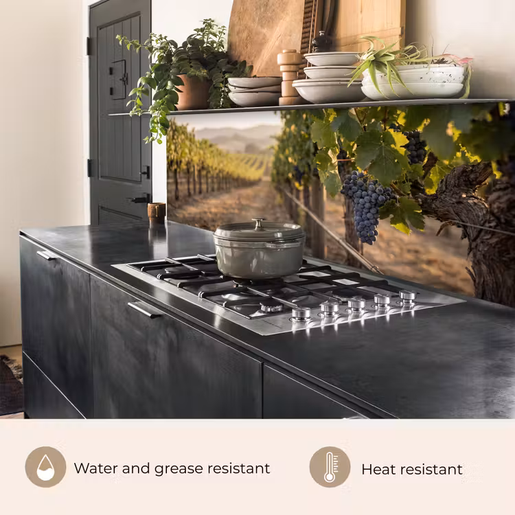 Kitchen splashback - Grapes - Vineyard - Sunlight — 5