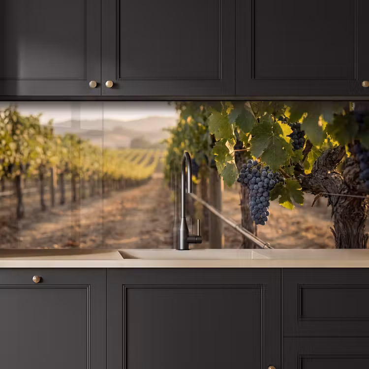 Kitchen splashback - Grapes - Vineyard - Sunlight — 6