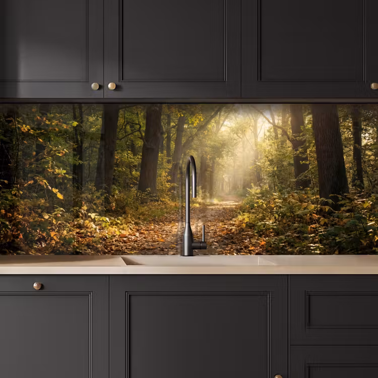 Kitchen splashback - Sunlight - Forest path - Trees — 6