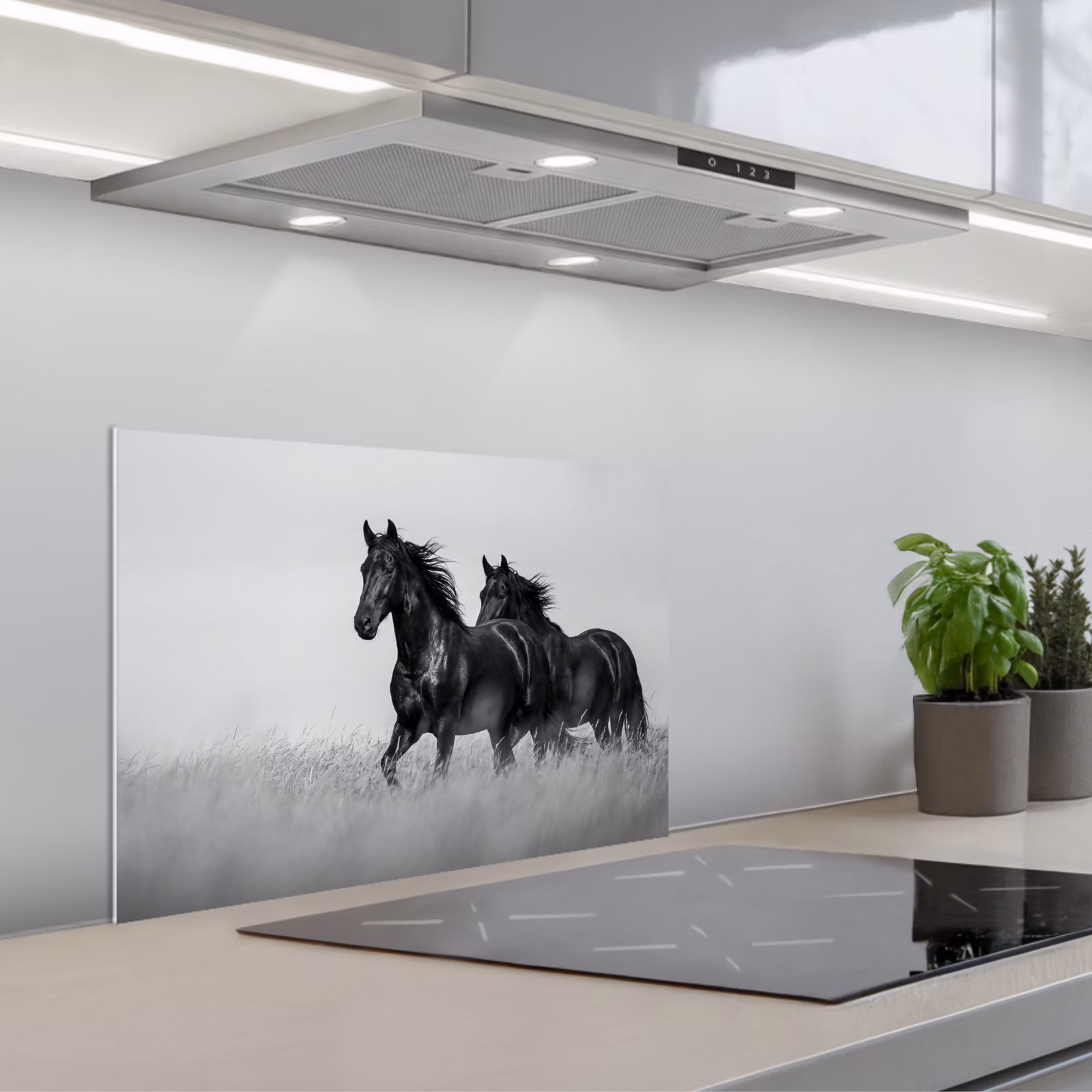 Kitchen splashback for hob - Horses - Grass - Black - White — 1