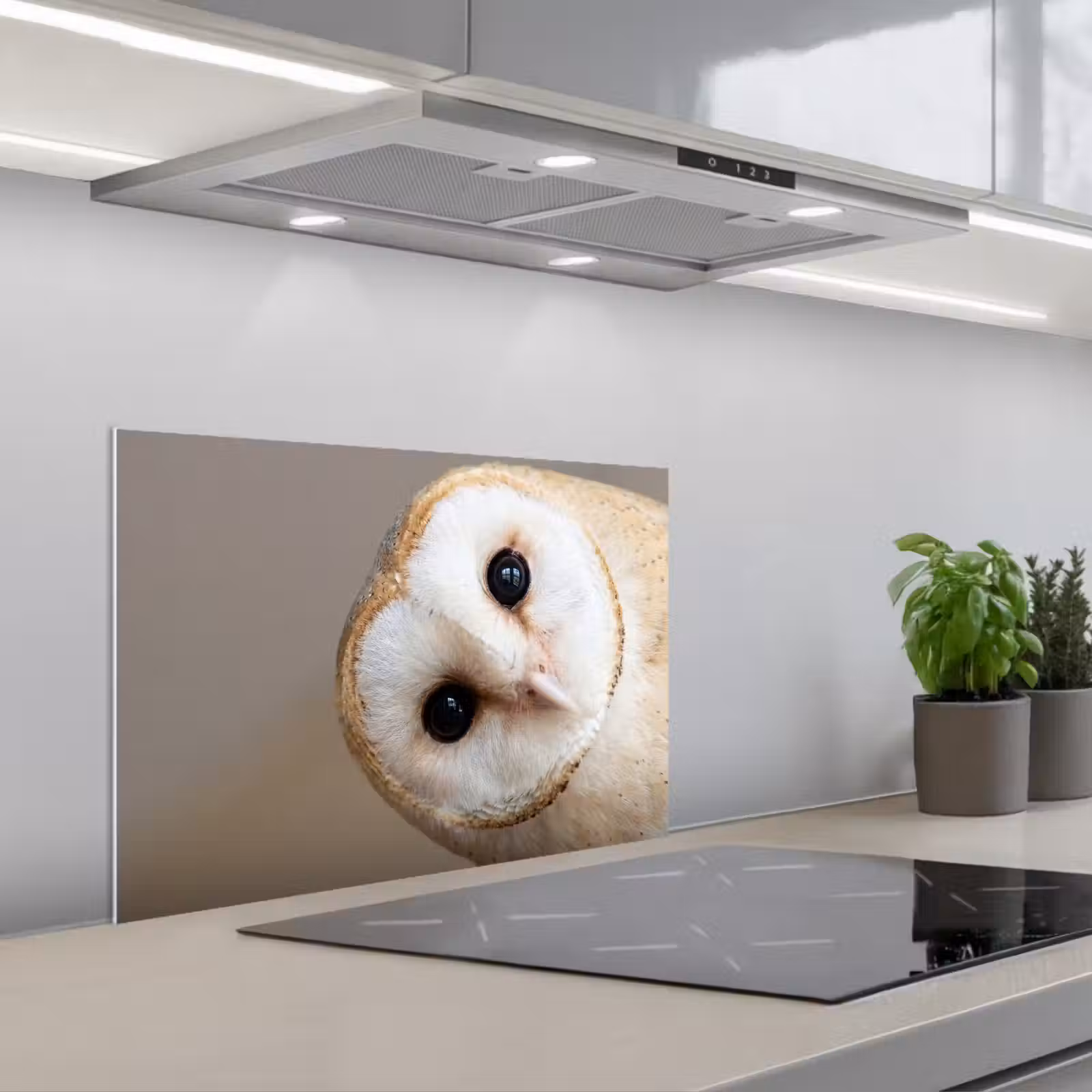 Kitchen splashback for hob - Owl - Brown - White — 1