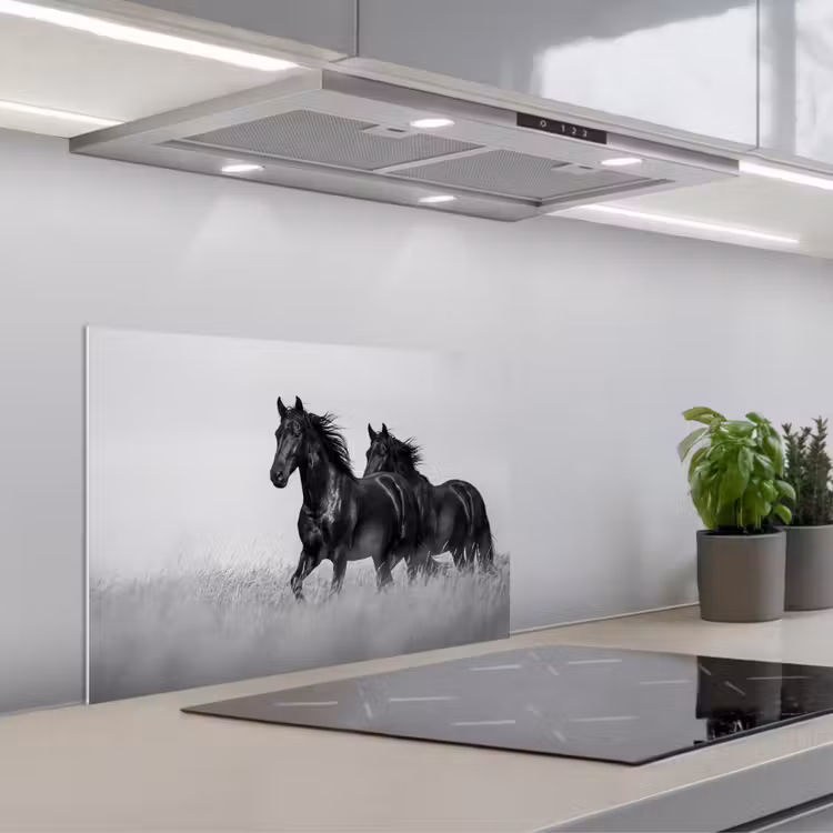 Kitchen splashback for hob - Horses - Grass - Black - White — 1