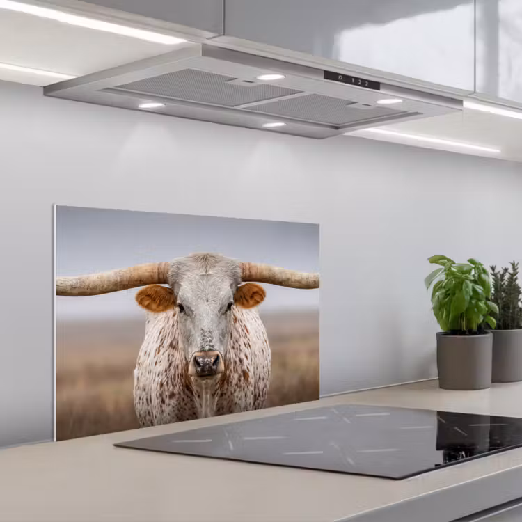 Kitchen splashback for hob - Longhorn - Grass Field - Animal — 1
