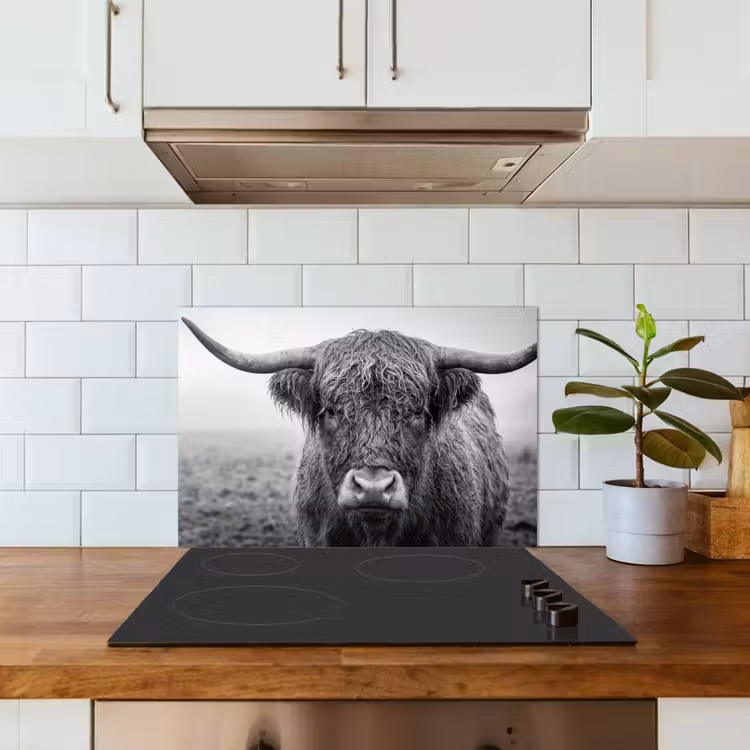 Kitchen splashback for hob - Scottish highlander - Black - White - Grass — 3