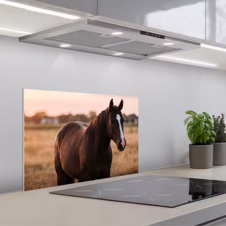 Kitchen splashback for hob - Horse - Sunset - Brown — 1