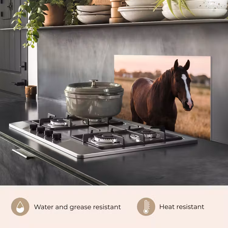 Kitchen splashback for hob - Horse - Sunset - Brown — 2