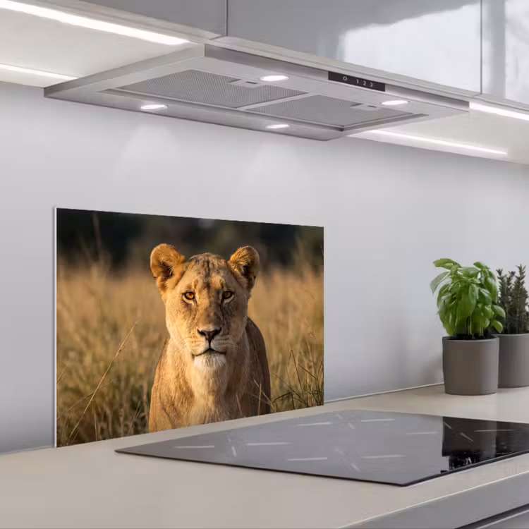 Kitchen splashback for hob - Lioness - Grass - Yellow — 1