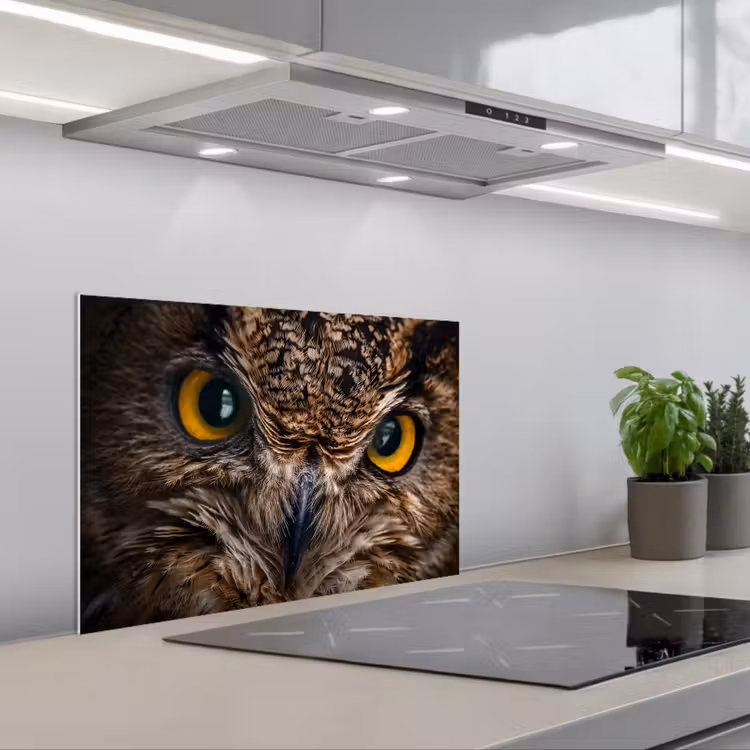 Kitchen splashback for hob - Owl - Animal - Orange — 1