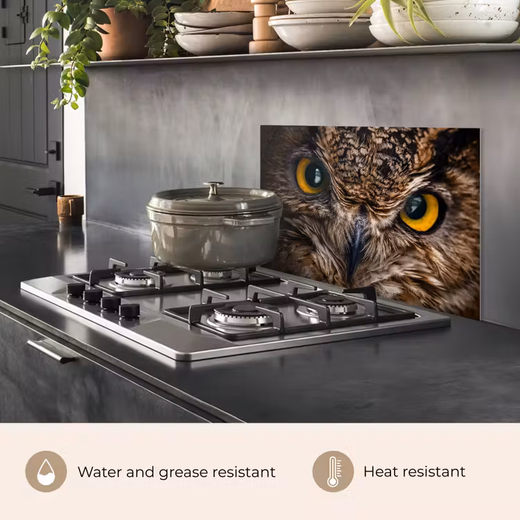 Kitchen splashback for hob - Owl - Animal - Orange — 2