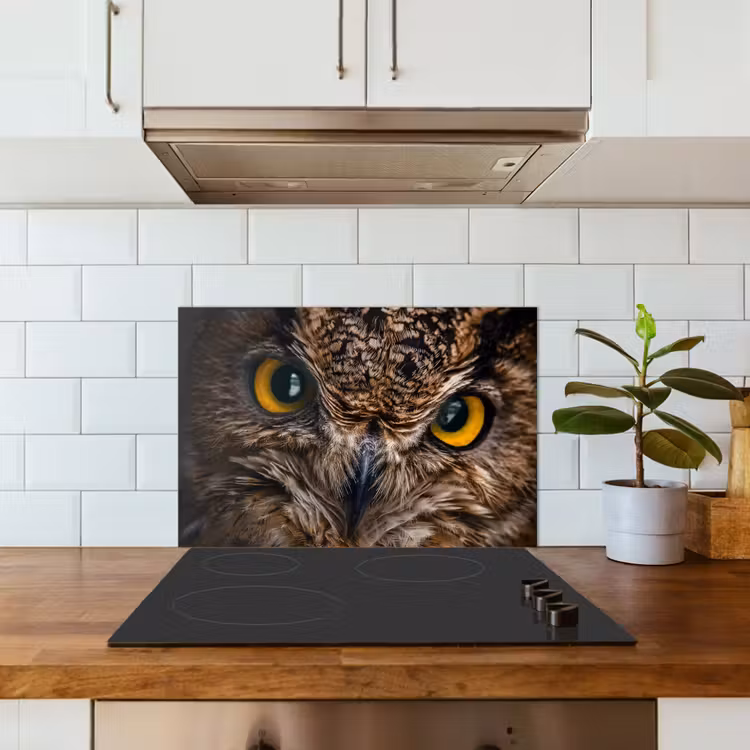 Kitchen splashback for hob - Owl - Animal - Orange — 3