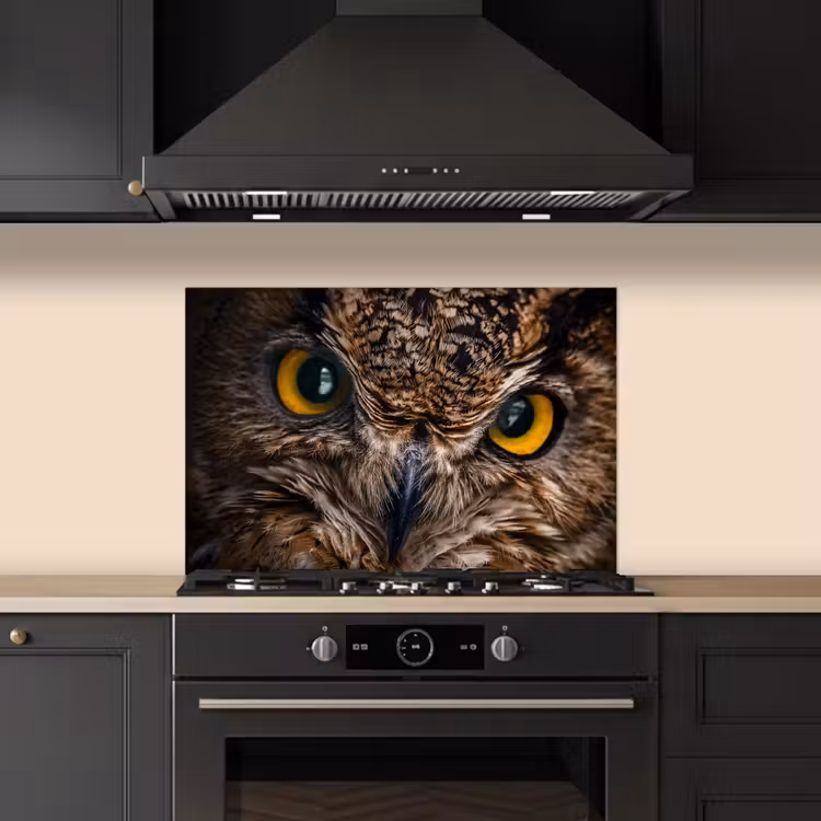Kitchen splashback for hob - Owl - Animal - Orange — 5