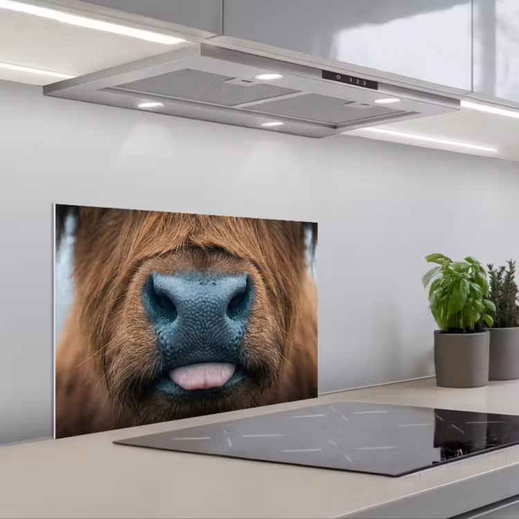 Kitchen splashback for hob - Scottish highlander - Nose - Brown — 1
