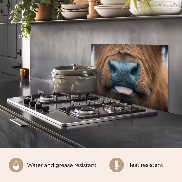 Kitchen splashback for hob - Scottish highlander - Nose - Brown — 2