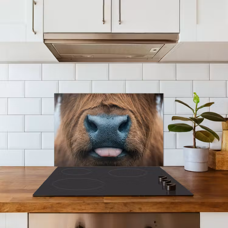 Kitchen splashback for hob - Scottish highlander - Nose - Brown — 3