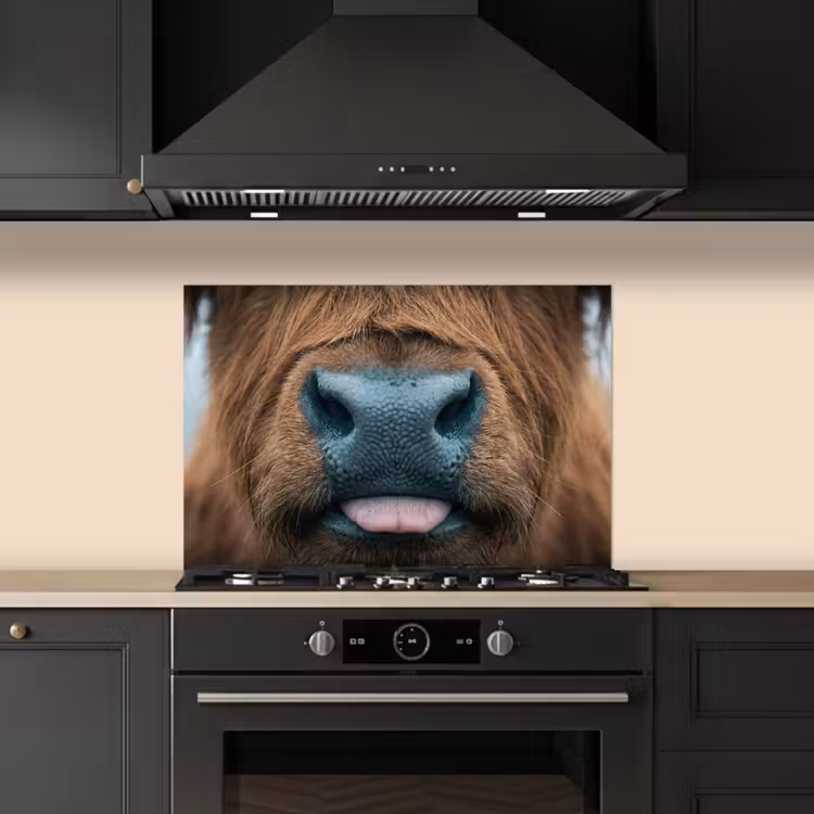 Kitchen splashback for hob - Scottish highlander - Nose - Brown — 5