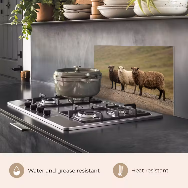 Kitchen splashback for hob - Sheep - Brown - White - Gravel Path — 2