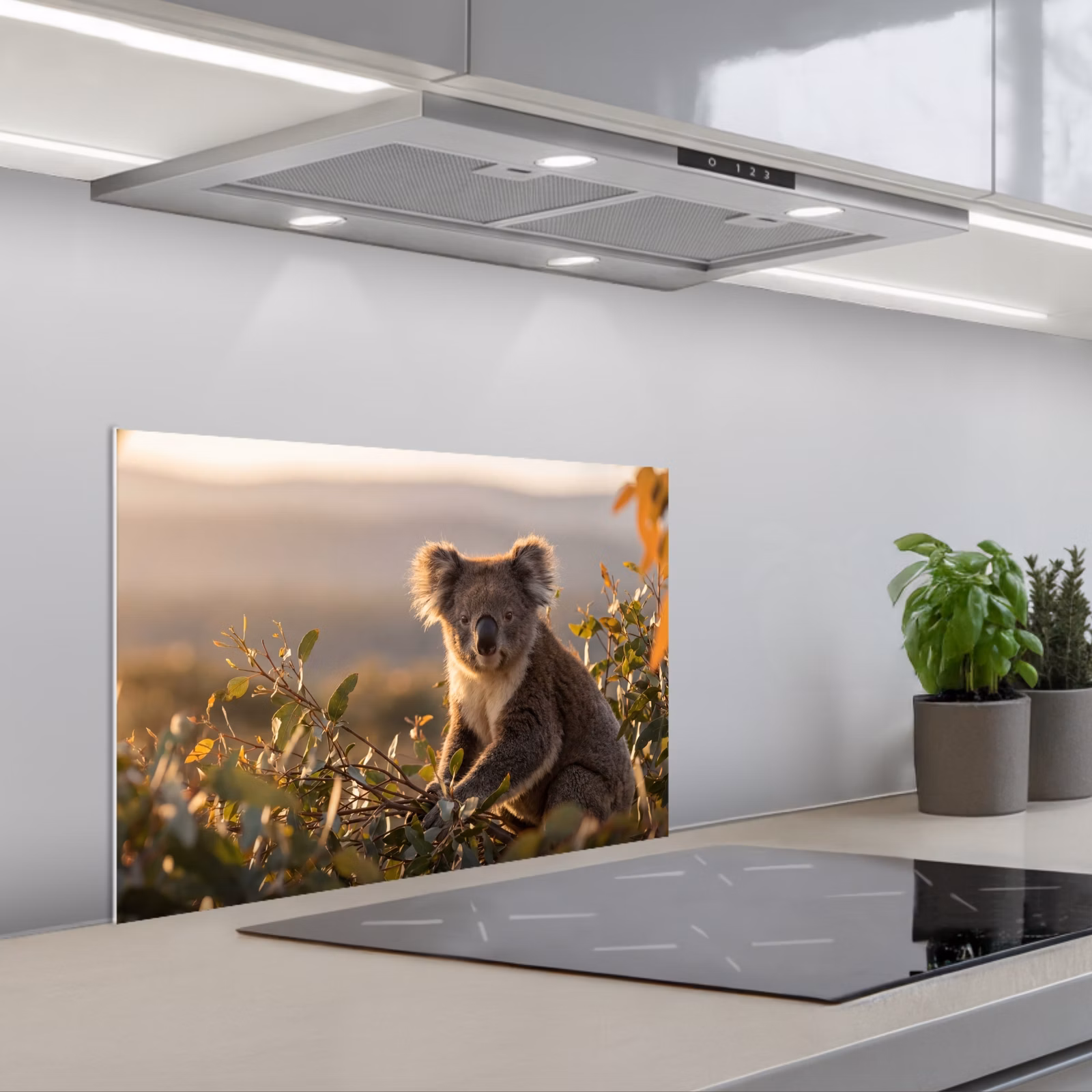 Kitchen splashback for hob - Koala - Leaves - Morning light — 1