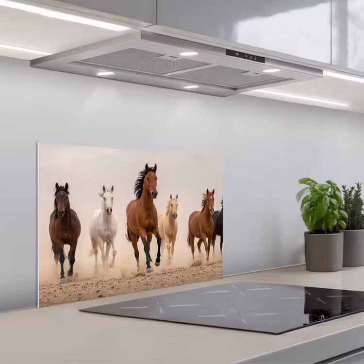 Kitchen splashback for hob - Herd of horses - Dust cloud - Brown - Black — 1
