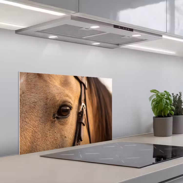 Kitchen splashback for hob - Horse - Eye - Brown — 1