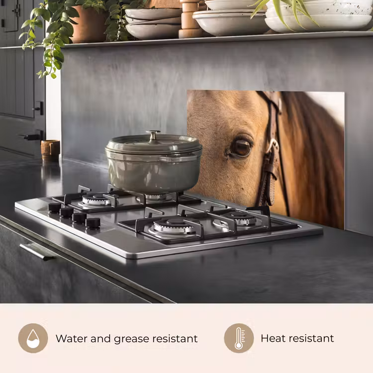 Kitchen splashback for hob - Horse - Eye - Brown — 2