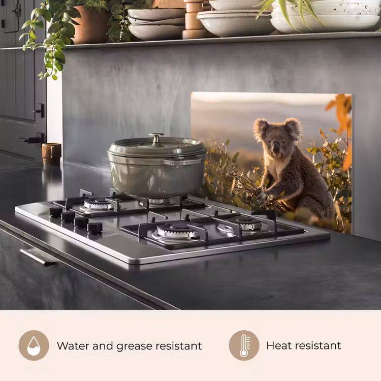Kitchen splashback for hob - Koala - Leaves - Morning light — 2