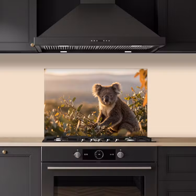 Kitchen splashback for hob - Koala - Leaves - Morning light — 5