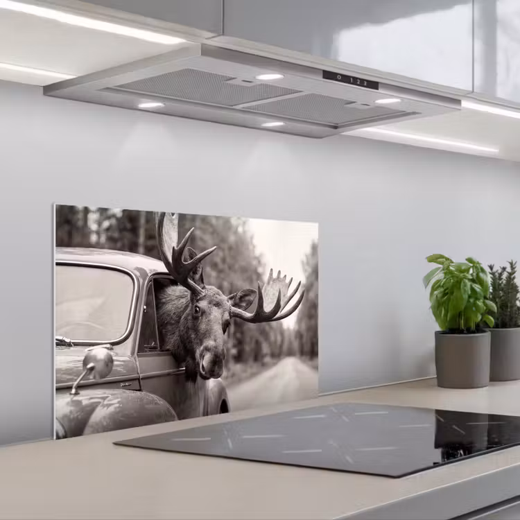 Kitchen splashback for hob - Moose - Car - Antlers - Black - White — 1