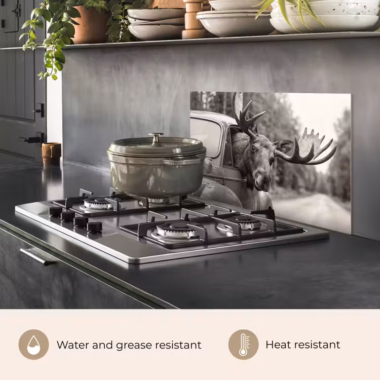 Kitchen splashback for hob - Moose - Car - Antlers - Black - White — 2