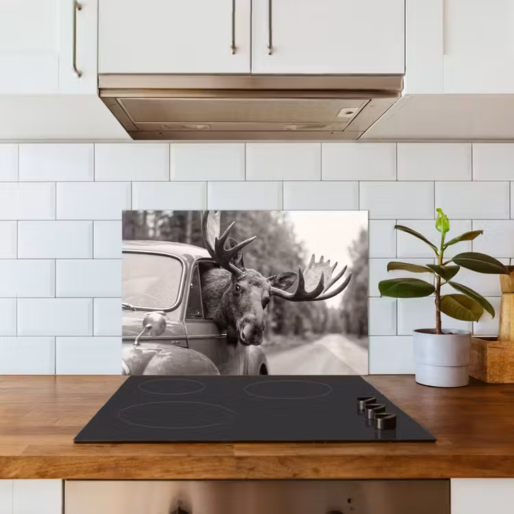 Kitchen splashback for hob - Moose - Car - Antlers - Black - White — 3