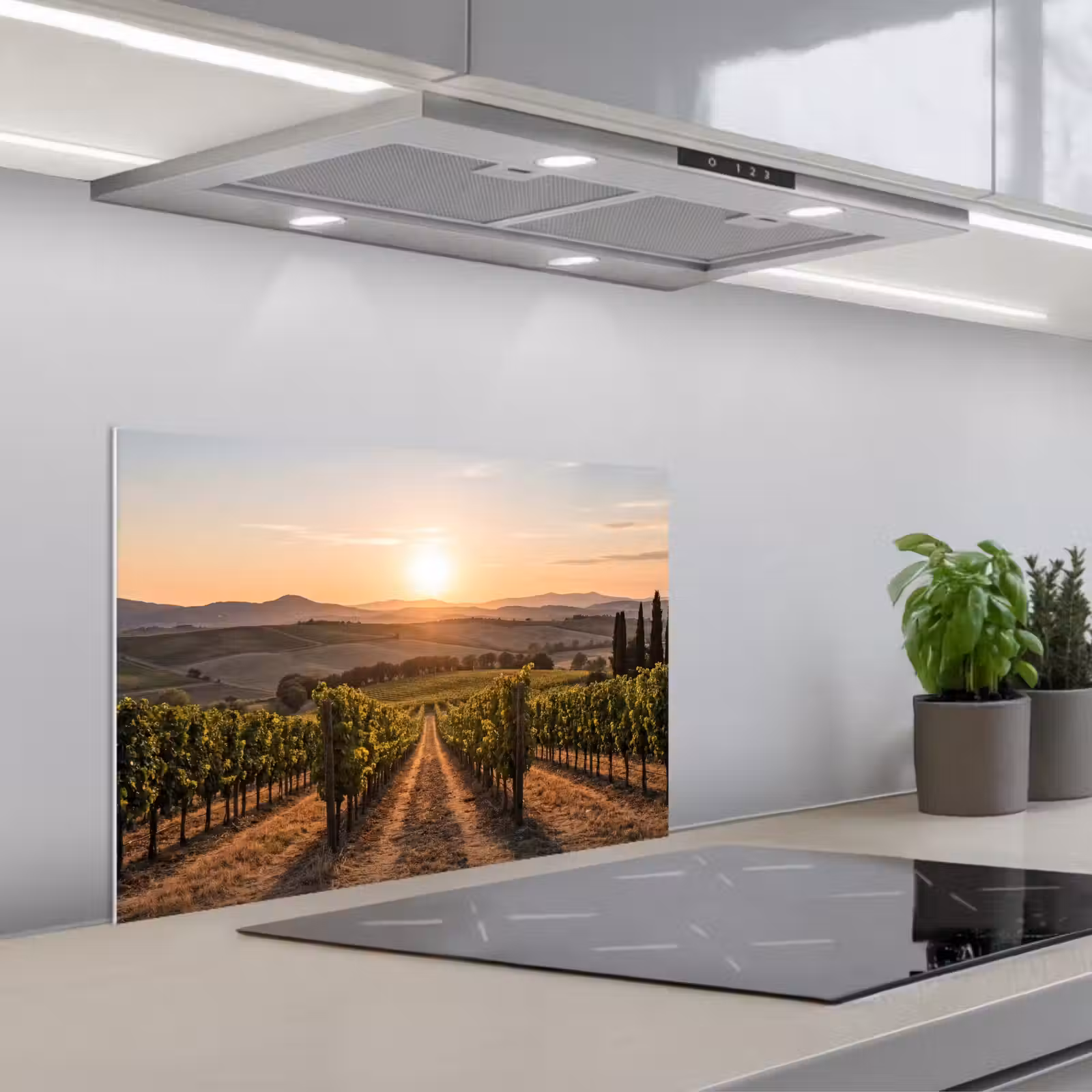 Kitchen splashback for hob - Vineyard - Sunset - Landscape — 1