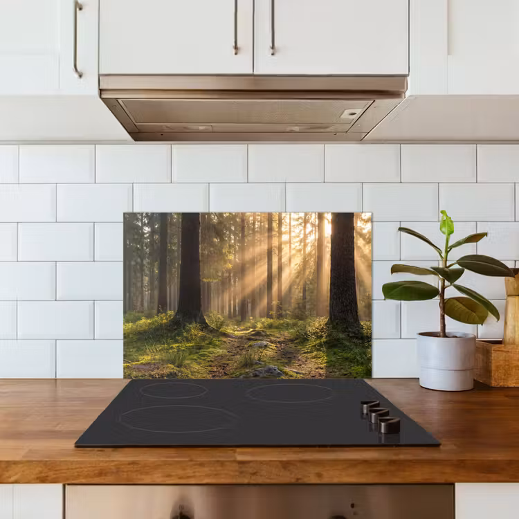 Kitchen splashback for hob - Forest - Sunlight - Grass — 3