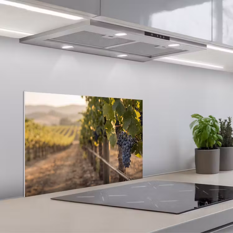 Kitchen splashback for hob - Grapes - Vineyard - Sunlight — 1