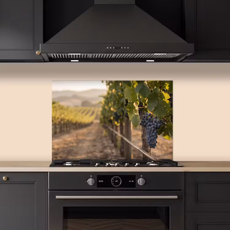 Kitchen splashback for hob - Grapes - Vineyard - Sunlight — 5