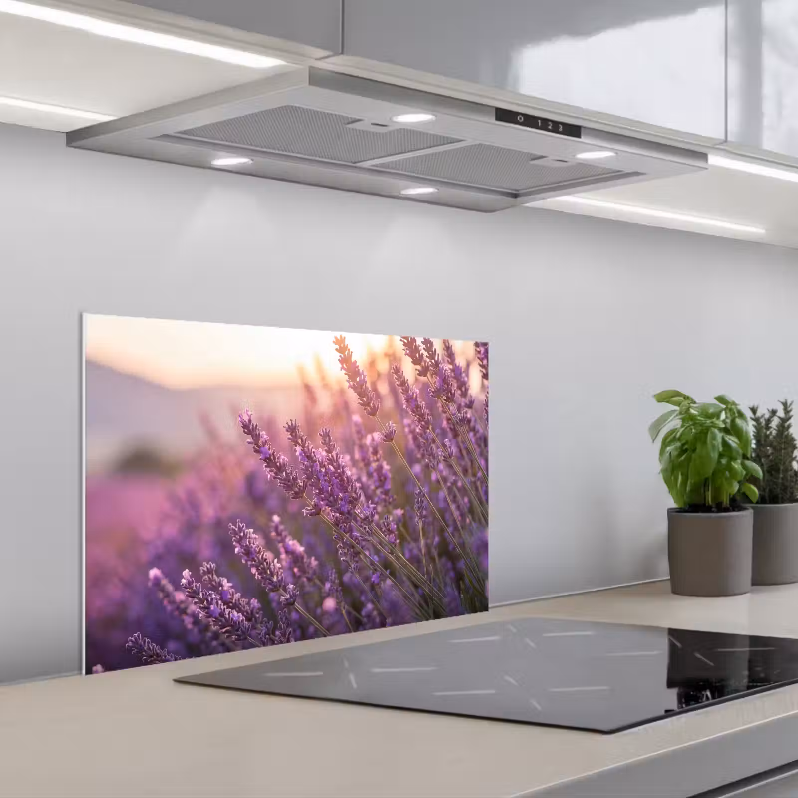 Kitchen splashback for hob - Lavender - Purple - Sunlight — 1