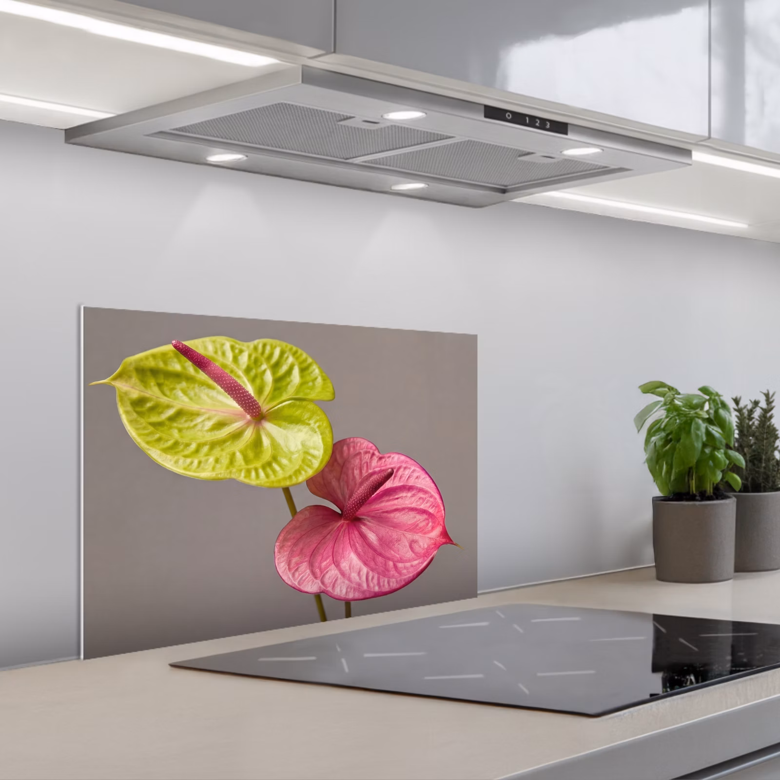 Kitchen splashback for hob - Plants - Anthurium - Green - Pink — 1