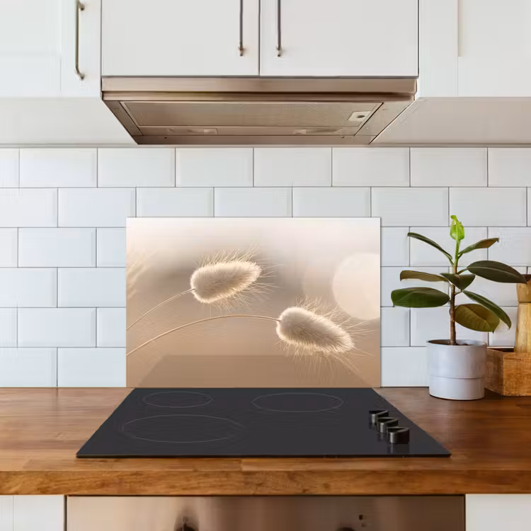 Kitchen splashback for hob - Haze tail grass - Grain hairs - Sunlight — 3