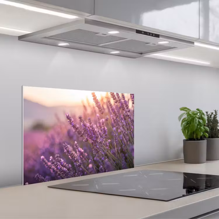 Kitchen splashback for hob - Lavender - Purple - Sunlight — 1