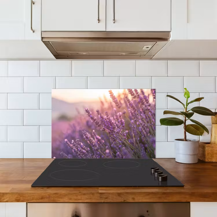 Kitchen splashback for hob - Lavender - Purple - Sunlight — 3
