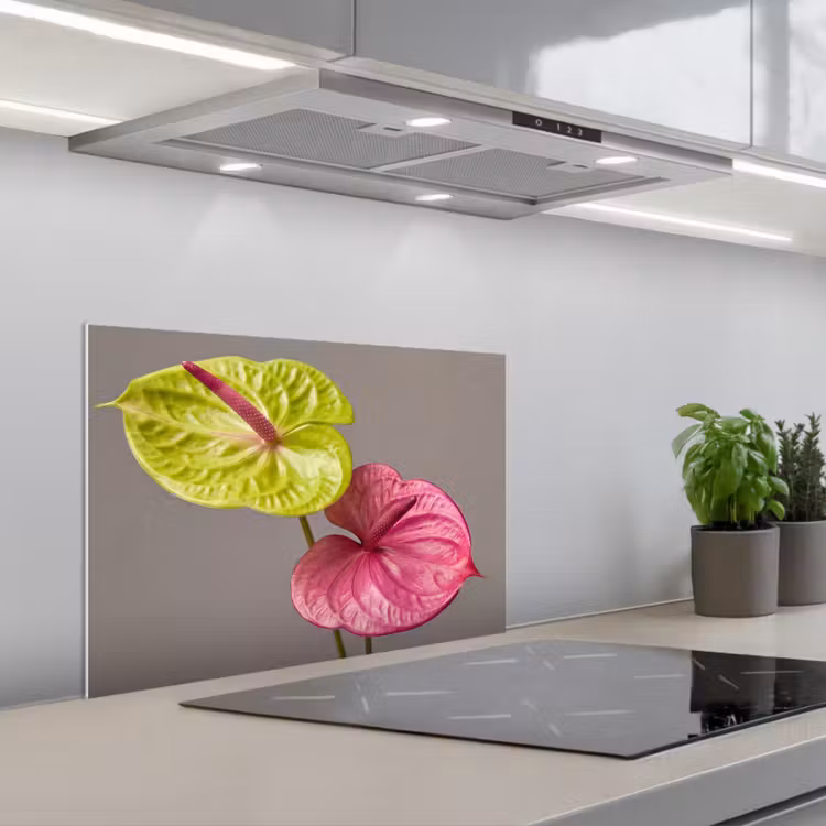 Kitchen splashback for hob - Plants - Anthurium - Green - Pink — 1