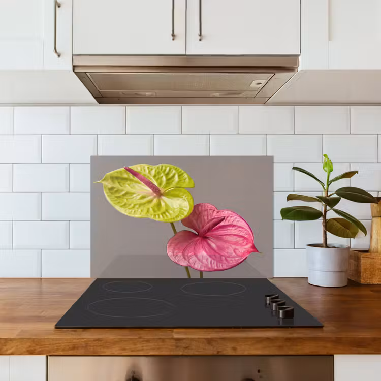 Kitchen splashback for hob - Plants - Anthurium - Green - Pink — 3