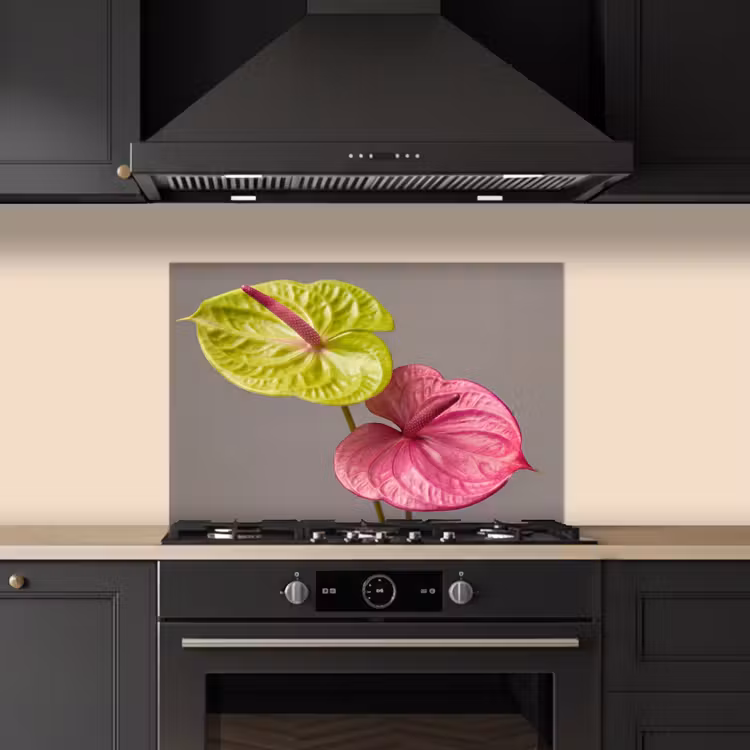 Kitchen splashback for hob - Plants - Anthurium - Green - Pink — 5