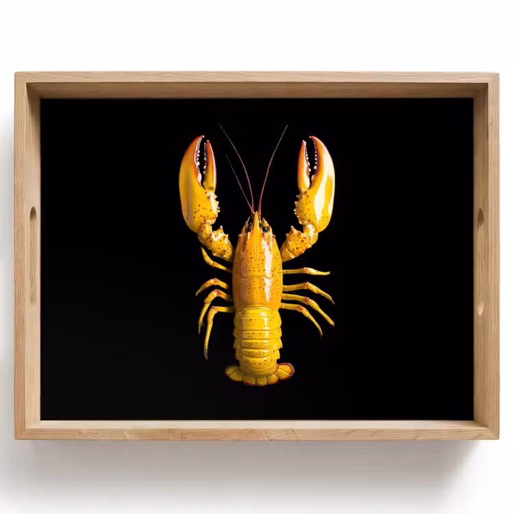 Tray - Cancer - Yellow - Dots - Solid — 1