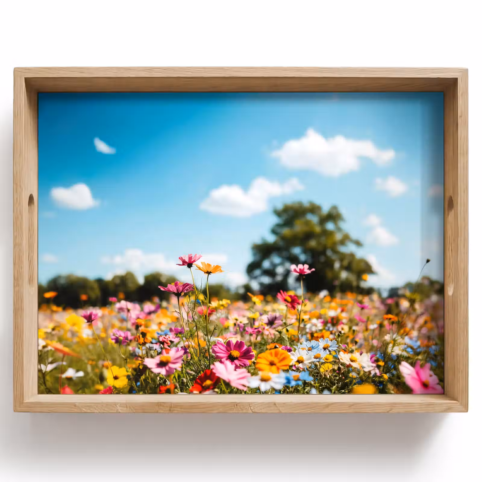 Tray - Flower meadow - Blue - Sky - Colors — 1