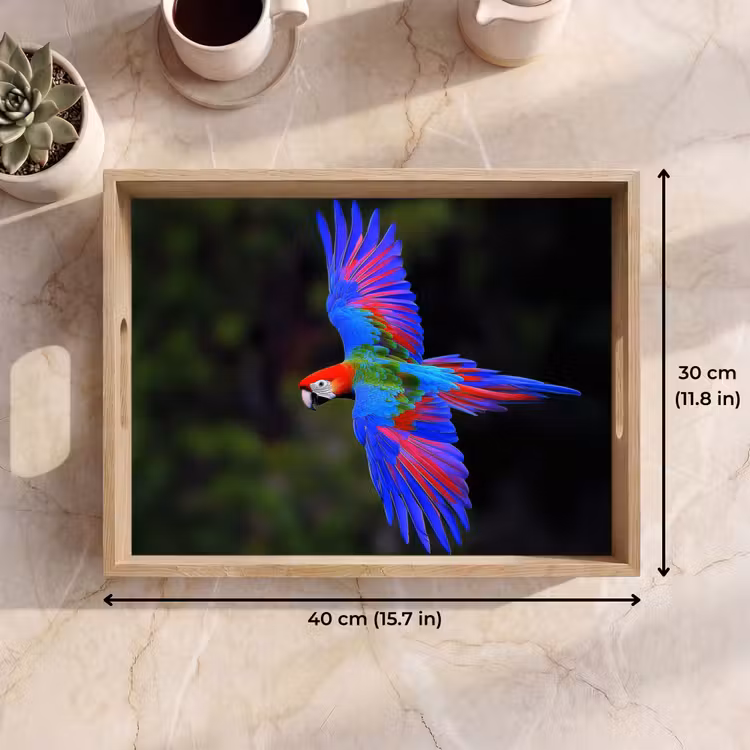 Tray - Brightly colored - Parrot - Forest - Wings — 7