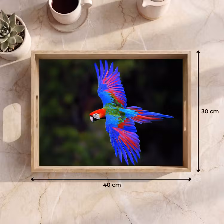 Tray - Brightly colored - Parrot - Forest - Wings — 8