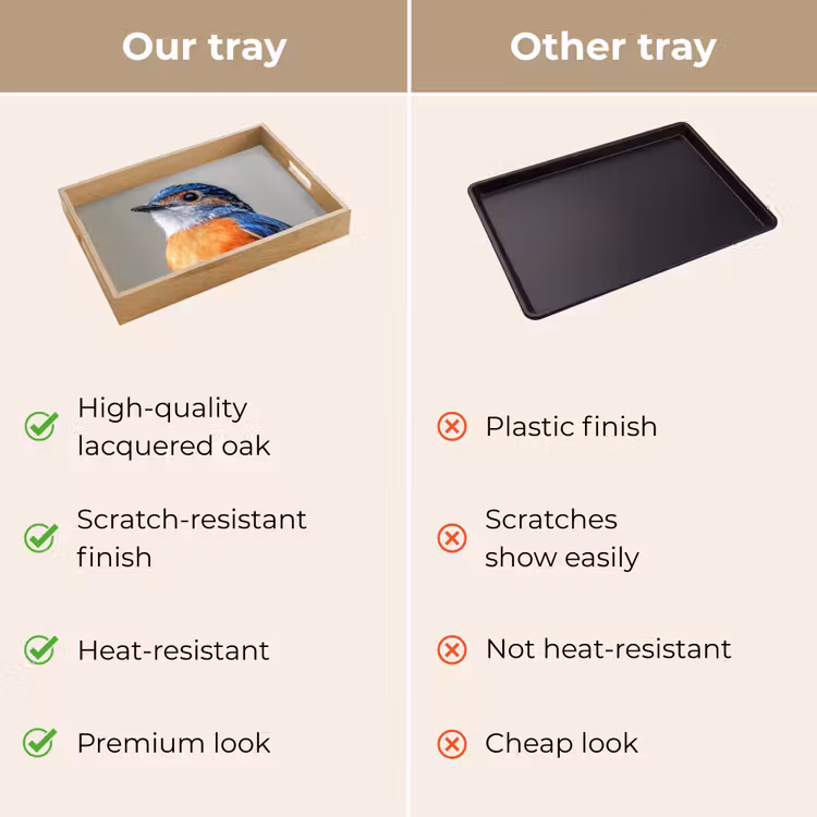 Tray - Colorful - Bird - Feathers - Blue — 10