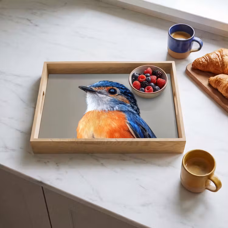 Tray - Colorful - Bird - Feathers - Blue — 3