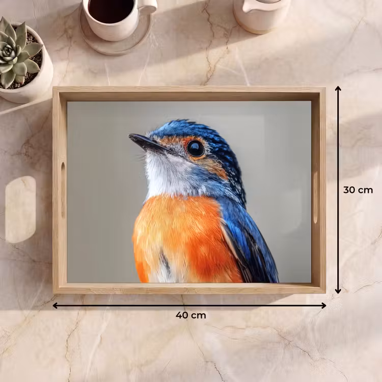 Tray - Colorful - Bird - Feathers - Blue — 8